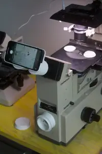 Iphone 12 mini to microscope ocular adapter