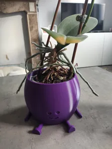 happy face planter