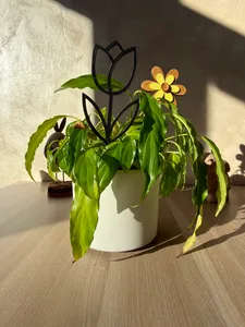 Tulip vase decor