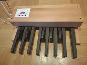 Deopfer MBP-25 case for organ foot pedal