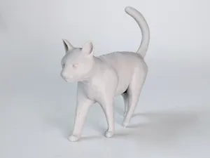 Walking Cat