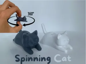 Spinning Cat Fidget