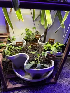 Small Herb Garden Signs