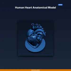 Human Heart Anatomical Model - 3D Printable STL File