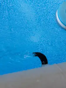 90° Nozzle for intex pool ultra frame