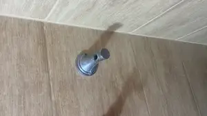 Soap organizer
