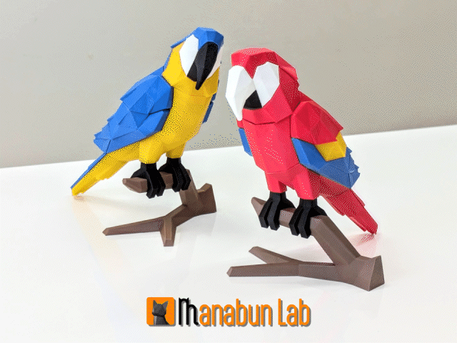 Low Poly Macaw Parrot Puzzle