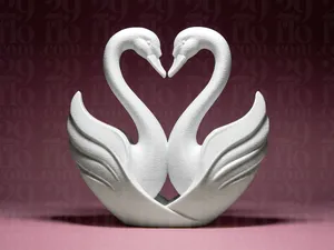 Heart of Swans