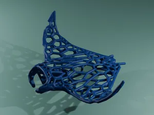 Manta Ray Voronoi