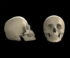 scull