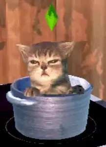 The Sims Meme Cat in the pot