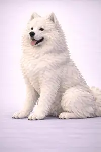 Samoyed dog Low Poly