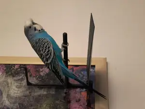 Parrot perch for the window with a tray to catch droppings and a hook for a bell.
