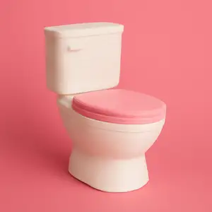 Mini Toilet with Pink Seat (Multicolor)
