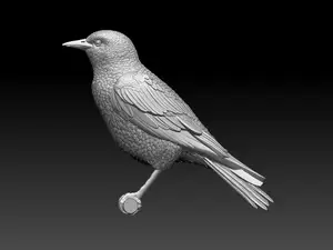 starling