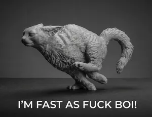 Fast as F*** Boi - Meme Cat