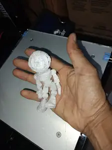flex astronalta