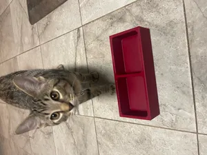 SMALL CAT AND DOG DISH NO AMS NO SUPPORTS