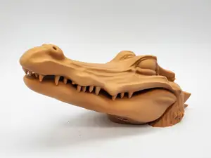 Peek-a-boo Alligator