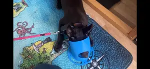 Imprinting cone