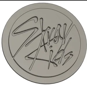 Stray kids coin