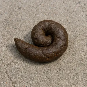 Prank dog poop