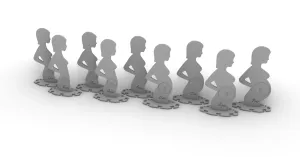 Pregnancy Evolution