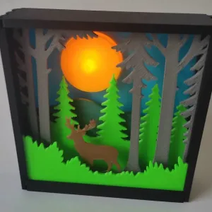 Forest shadow box