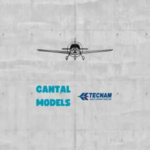TECNAM P2002 #1 | 2D WALL ART