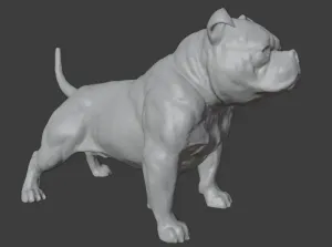 Bulldog