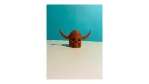 Skull with helmet