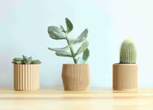 SET OF 4 MINIMAL PLANT POTS FOR SUCCULENTS AND CACTI