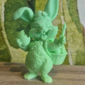 lapin drôle mignon