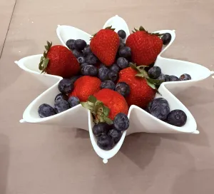 Starburst Daisy Planter/Fruit Bowl