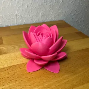 Lotusblüte Support-free