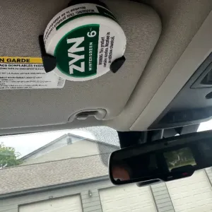 Zyn clip