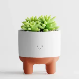 Plant Pot "Melo" – A Happy Home for Your Plants