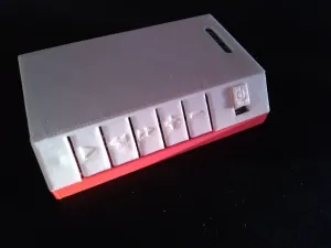 Casing for TDA7492P Bluetooth Audio Amp.