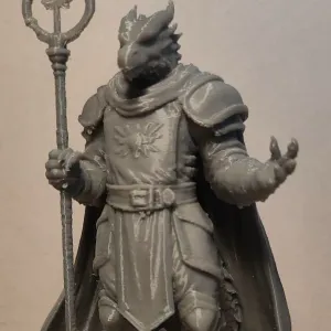 Draconic Cleric