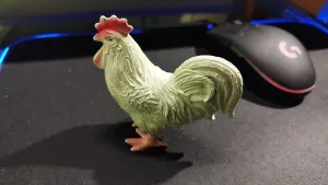 Kakas