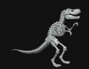 T-Rex skeleton tap dancing