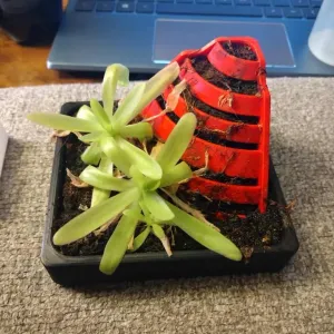 SMALL PLANTS HILL STRUCTURE