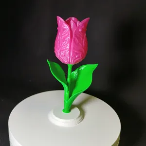 Ornamental Tulip - Multi Color Flower Figurine with base