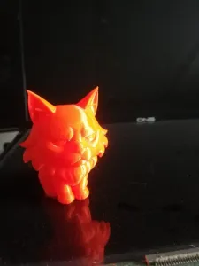 CubeMe Project Maine Coon