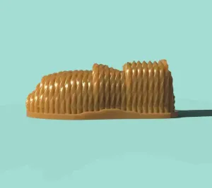 WORM SHOES