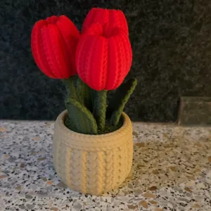 Knitted tullip in Bucket