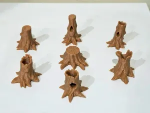 Tree Trunks and Stumps