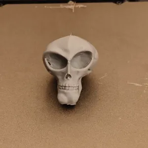Alien skull