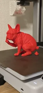 rude Bulldog