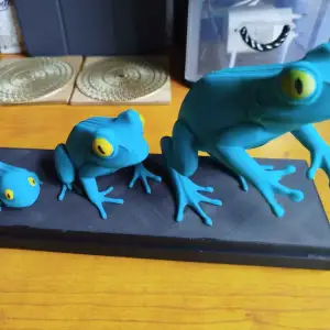 Frog Growth Trio – Education Life Series